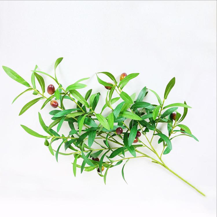 10叉带果橄榄叶-绿色.jpg