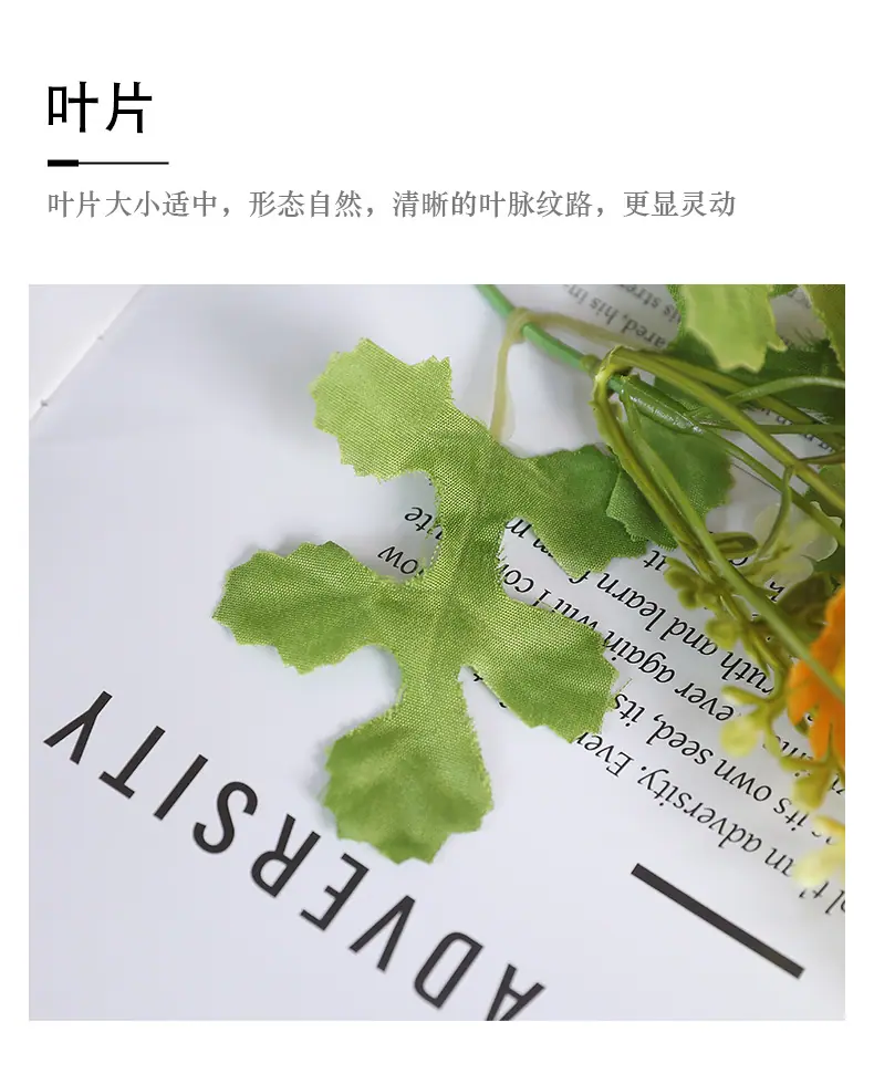 元霜春把束小雏菊_12.jpg