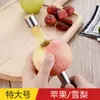 Extrator de caroço de jujuba utensílios de cozinha artefato ferramenta para semente de fruta jujuba aço inoxidável cabaça de açúcar extrator de caroço de espinheiro