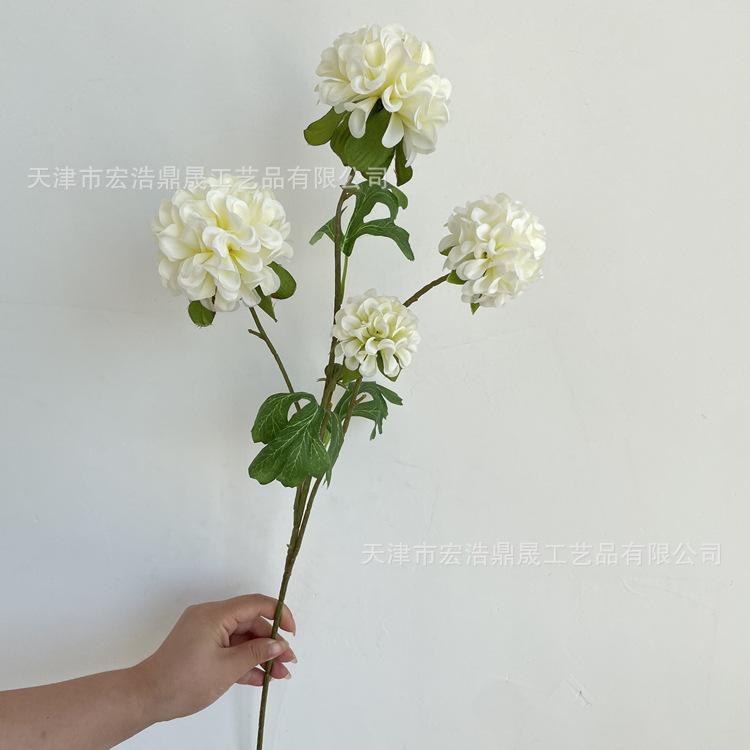 微信图片_202208311113223_副本