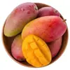 Manga Tainong Manga Guiqi Manga Quatro Estações Manga Imperatriz Vermelha Frutas Enxertadas Mudas de Manga Mudas de Manga Que Dão Frutos no Mesmo Ano