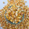 Maíz seco al por mayor 50 kg Maíz para siembra, granos de maíz a granel para alimentar pollos, patos, gansos, cerdos, palomas, y como cebo para pesca, envío gratis