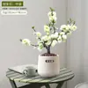 Wanfang Coroa da Longevidade Flor Begônia em Vaso Resistente ao Frio Seda de Jade Colorida Muda de Jardim Velho Tronco Flor de Bonsai Planta Anã