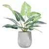 Lujo Ligero Estilo Escandinavo Planta Potos Simulada Bonsái Flores Artificiales Adornos Hoja de Tortuga Maceta Mesa Decoraciones de Flores Falsas