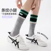 Calcetines finos de tubo alto estilo coreano para mujer, calcetines blancos transpirables para la pantorrilla para primavera y verano, calcetines de encaje versátiles para niñas, calcetines holgados de moda estilo ins