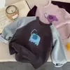 Camiseta Básica de Bloques de Color de Manga Raglán para Niños Pequeños, Estilo Nuevo para Primavera, Otoño e Invierno, Camiseta de Manga Larga para Niños y Niñas, Top Elegante