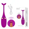 Huan Guo Vibrador Gêmeos Controle Remoto Elétrico Dispositivo de Masturbação Ueb Vibrador de Choque Forte Produtos para Saúde Sexual de Adultos