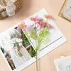 Estilo Pastoral 5 Cabeças Grama Preta Flor Artificial Tecido de Seda Planta Verde Adereço para Fotografia Arranjo de Mesa Acessório Decorativo Estilo Nórdico