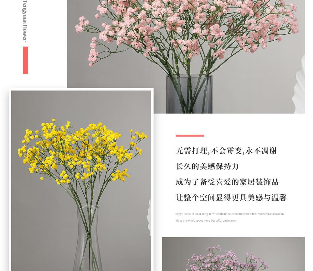67.富贵满天星_07.jpg