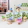 Nueva Caja Misteriosa Gato Hongo Bosque Mágico Linda Decoración de Figura Gato Estrella Creativo Mismo Estilo que en Xiaohongshu Linda Decoración de Figura