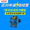 Bomba de Paletas Guangdong Guangye YB-E25 Bomba Simple Doble Triple Modelo Completo