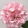 Buquê de Hortênsia Artificial com 5 Cabeças para Decoração de Casamento, Arranjo para Salão de Casamento, Buquê de Flores Artificiais de Tecido de Seda, Acessórios para Arranjo de Flores DIY, Várias Cores Disponíveis