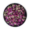 Flores Secas de Rosa del Desierto de Hotan, Xinjiang, Brotes Florales al por Mayor a Granel, Primera Remesa de Flores de Rosa, Ricas y Fragantes, Enviadas Directamente desde Agricultores, Venta al por Mayor
