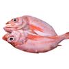 Sin Limpieza Dorada Roja de Dorso Abierto Pescado Rojo de Mar Profundo Dorada Roja Pescado de Ojos Grandes Pescado Rico Pescado Genciana Marisco
