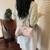 Bolso Cruzado 2026 Bolso Versátil Bolso de Viaje para el Trabajo Bolso Elegante para Mujer Almohada Lazo Nudo Sensación Nicho Nuevo Gran Capacidad