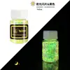 Polvo de Lentejuelas Luminosas con Brillo Transfronterizo 12 Colores Mezclados Polvo de Brillo Fluorescente Pegamento Flujo de Cáñamo DIY Lentejuelas Luminosas para Uñas