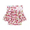 Pantalones menstruales personalizados para perras de Amazon, pantalones menstruales lavables y reutilizables para mascotas