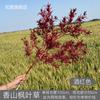Série vinho vermelho casamento flor de plástico estilo chinês hotel banquete salão teto decoração lua crescente grama Misty flor falsa floral