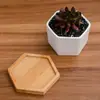Jikai Comercio Exterior Cerámica Flor Carnosa Maceta Creativa Blanca Pura Maceta de Escritorio Transfronterizo Amazon Pequeña Hexagonal Bandeja Combinación