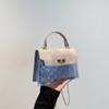 Bolsa de Gelatina Transparente 2025 Nueva Bolsa Cuadrada Pequeña de Moda Versátil Bolso de Mano de Alta Gama Bolso Cruzado Bolso Pequeño