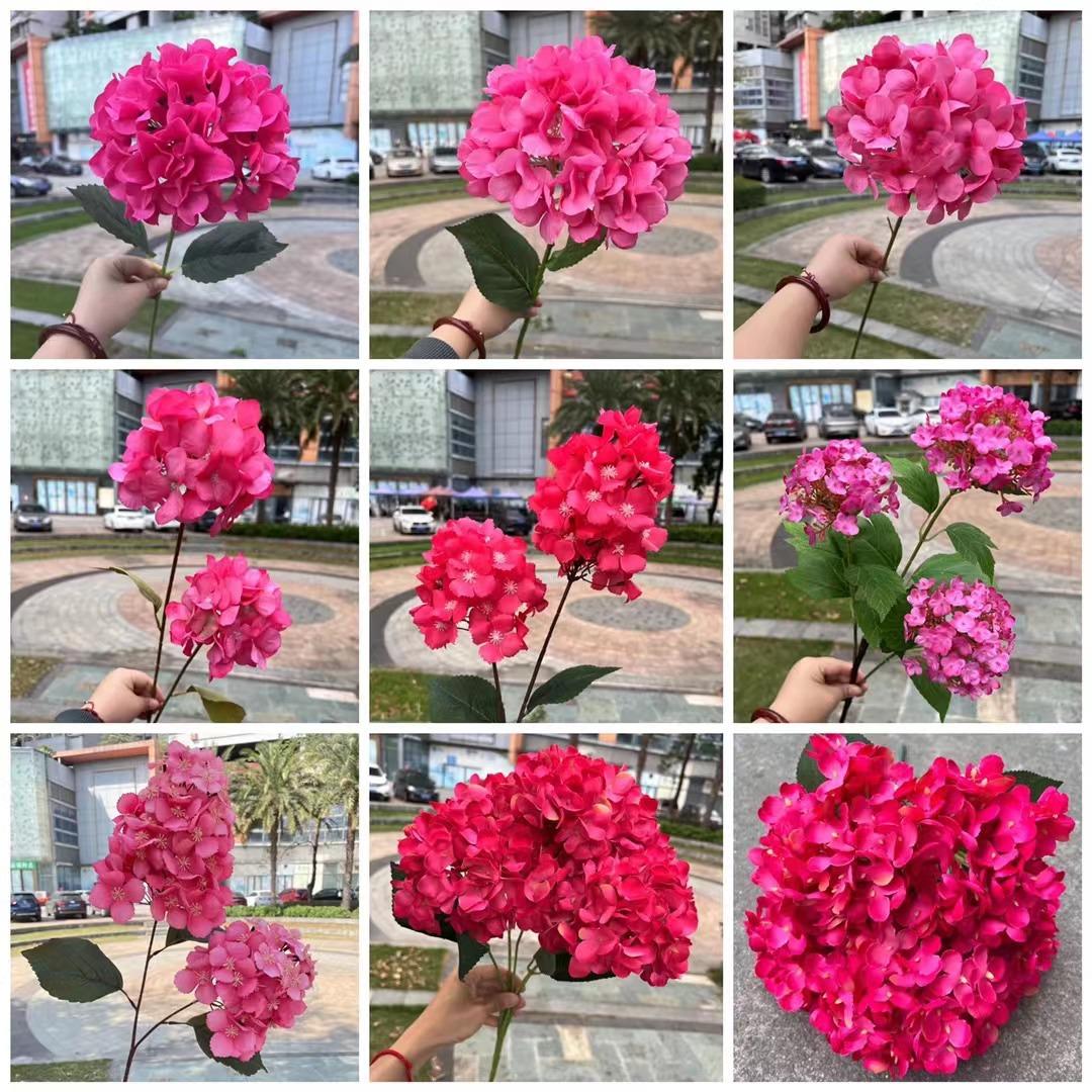 微信图片_20230523173420