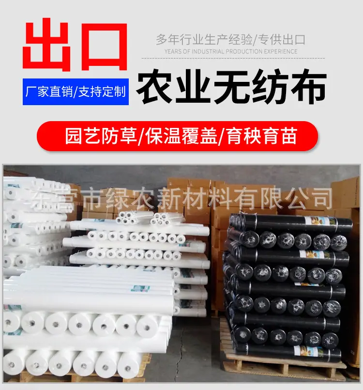 详情_01