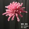 Flor de Loto Flor de Loto Flor de Loto Paquete de Flores Secas Hecho a Mano Nenúfares Zen Decoración de Planta Natural Decoración de Sala de Buda Decoración de Sala de Estar