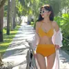 Bikini de Dos Piezas Push-Up para Busto Pequeño para Mujer, Diseño de Atar de Alta Gama, Oculta el Vientre, Nuevo Estilo de Cintura Alta 2024, Sexy y Puro Deseo