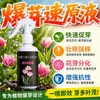 Ampolla Potenciadora de Brotes Suculentas Diferenciación de Brotes Elemento de Vitalidad Universal para Plantas en Maceta Buganvilia Rosa Raíces Solución Nutritiva