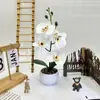 Flores de Quatro Phalaenopsis Pedra de Flor da Chuva Bonsai Filme de Impressão 3D Flor Artificial Plantas em Vasos Enfeites Decoração de Mesa de Escritório Flor Artificial