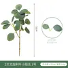 Eucalipto Artificial Hoja de Dinero con Fruta, Tallo Único Pequeño, Hojas de Eucalipto Largas Transfronterizas, Adorno de Planta Verde Estilo Ins Nórdico, Flor Artificial
