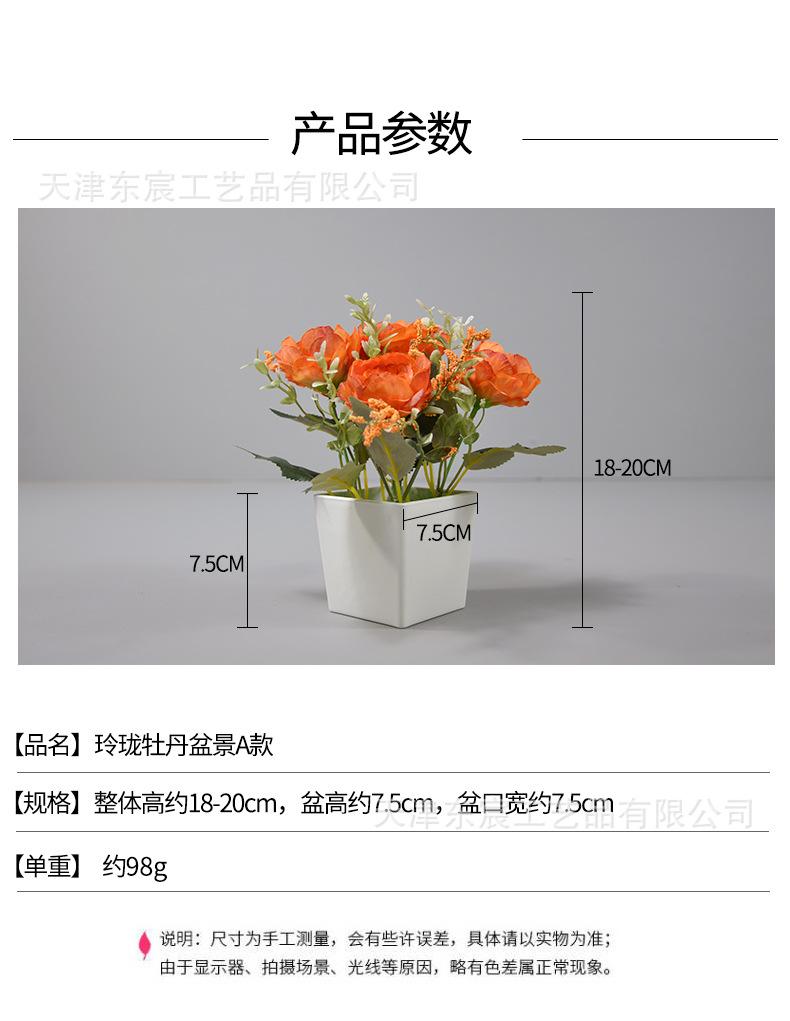 详情_01.jpg