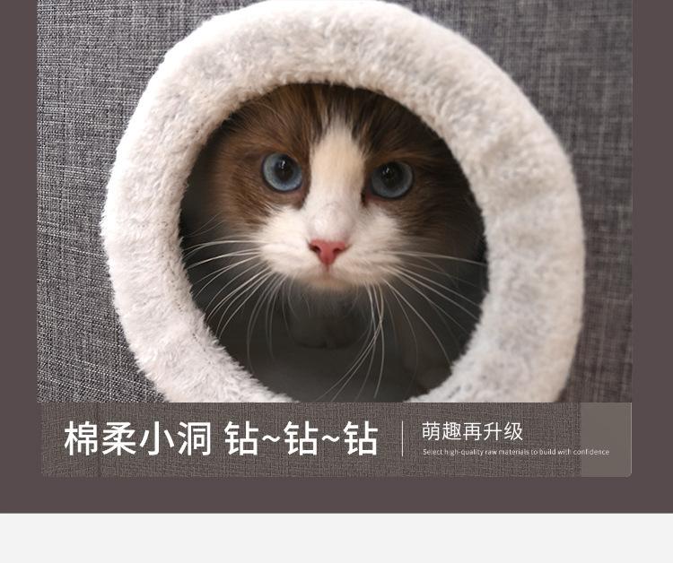 描述图_11.jpg