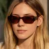 Gafas de sol cuadradas estilo europeo y americano 2026 para hombre y mujer, Gafas de sol versátiles de moda Hip-Hop con personalidad, Estilo callejero casual