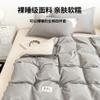 Conjunto de quatro peças de algodão de luxo simples Nanjiren, capa de edredom simples, lençol, roupa de cama para dormitório estudantil, conjunto de três peças, quatro estações