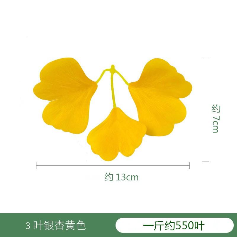 14599986169_93559975_副本