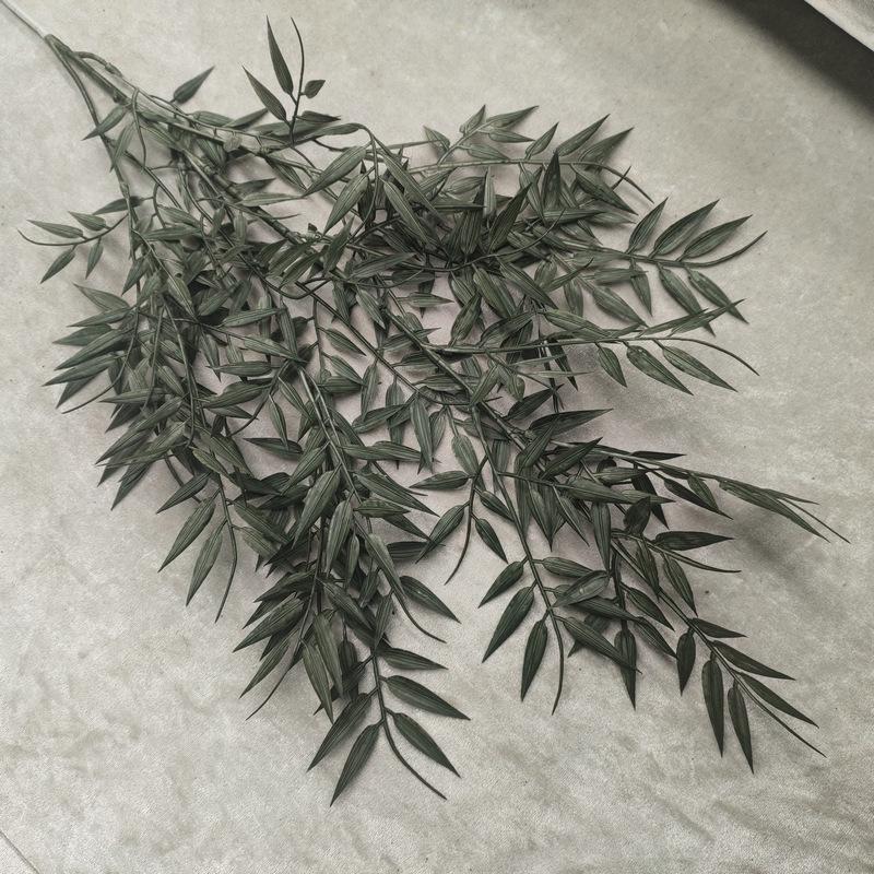 绿色.jpg