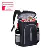 Mochila térmica nova da Amazon bolsa de piquenique para exterior bolsa de cerveja 27L à prova d'água bolsa de gelo PEVA atacado de fábrica