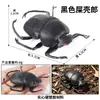 Juguete de broma modelo de animal de simulación de ciencia y educación para niños, adornos de insectos, escena de mesa de arena, juego de arañas de Halloween