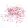Accesorios para uñas estilo japonés en línea populares rodajas de abulón concha White jou mismo estilo natural gruesas grandes rodajas de concha