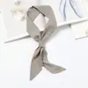 Elegante Pequeno Laço Coreano Versátil Artístico Longo Fino Estreito Lenço Lenço Feminino Decorativo Pequeno Lenço Gravata Bolsa Cinto de Transmissão