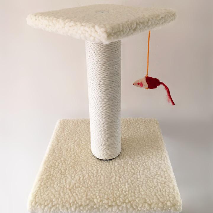 QQ图片20160524091018