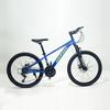 Daurada Bicicleta 24 pulgadas Bicicleta de Montaña Cross-Country para Niños Niños y Niñas Estudiantes de Primaria y Secundaria Bicicleta