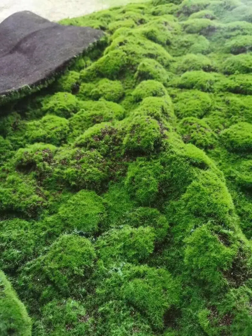 QQ图片20240608085959