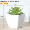 Plástico carnoso de simulación bonsái decoración de oficina escritorio adornos pequeños carnoso accesorios para fotos flores artificiales falsas