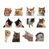 Pegatinas para Coche de Memes de Gatos, Calcomanías Divertidas de Emoticonos de Hakimi para Coche, Precaución para Principiantes, Pegatinas para Coche de Perros Hakimi