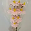 Sementes, Flores, Flores Eternas, Flores Secas Artesanais, Kit de Material DIY, Arranjo de Flores em Vaso, Flores Naturais Reais, Adereços para Fotografia, Plantas Estilo Ins