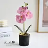 Bonsái de orquídea phalaenopsis pequeña de tres flores y una flor, decoración de planta verde de flor artificial para sala de estar interior, decoración floral