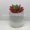 Maceteros de Cerámica Sencillos con Pintura Degradada para Suculentas Macetas Mini de Escritorio para Suculentas Fabricante Mayorista Plantas y Flores Verdes Transpirables