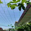 Red para plantas trepadoras de jardinería transfronteriza Red para enredaderas de Gloria de la Mañana Lirio Red para calabaza frijol cuerno Estructura trepadora Rejilla para flores Red de soporte secundaria